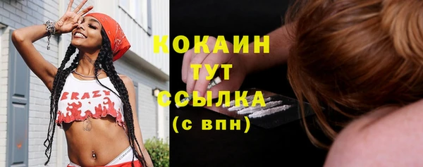 крисы Сатка