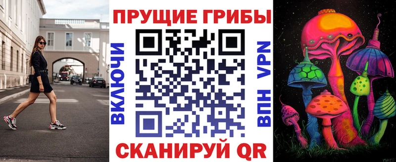 Псилоцибиновые грибы мицелий  Зеленоградск 